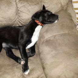 Carrie Walker Photo 13