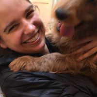 Casey Mcclellan Photo 7