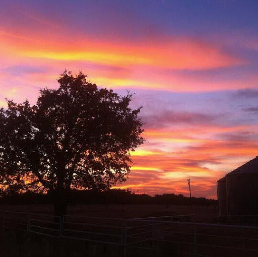 Sharon Roberson Photo 12