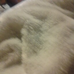 Sandy Snyder Photo 25