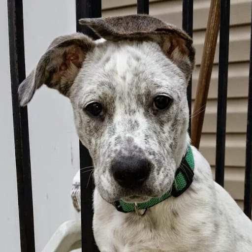 David Wheatley Photo 48