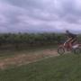 Eric Witt Photo 12