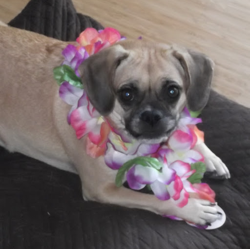 Rachel Weir Photo 13