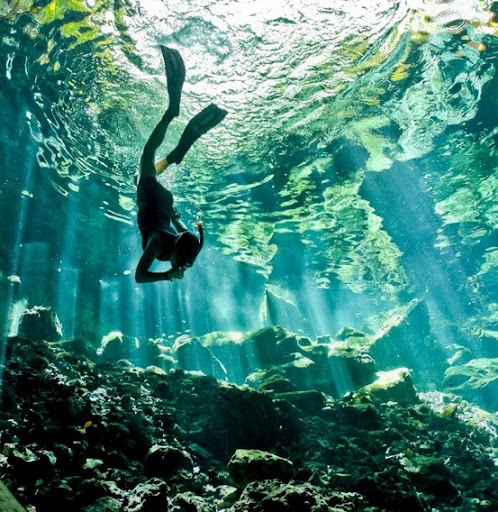 Paula Lambert Photo 39 Paula Lambert Photo 39