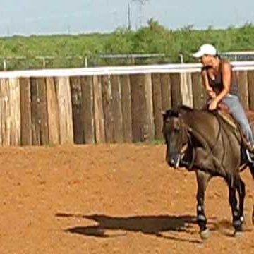 Michelle Beck Photo 16