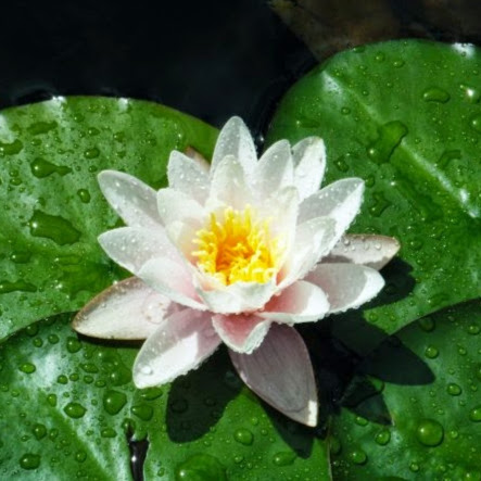 Donna Duquette Photo 11