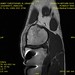 James Knee Photo 21