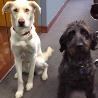 David Leider Photo 13