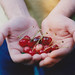 James Cherry Photo 17
