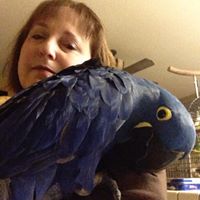 Cyndi Murphy Photo 19