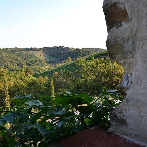 Linda Horvath Photo 23