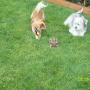 Nancy Gregory Photo 7
