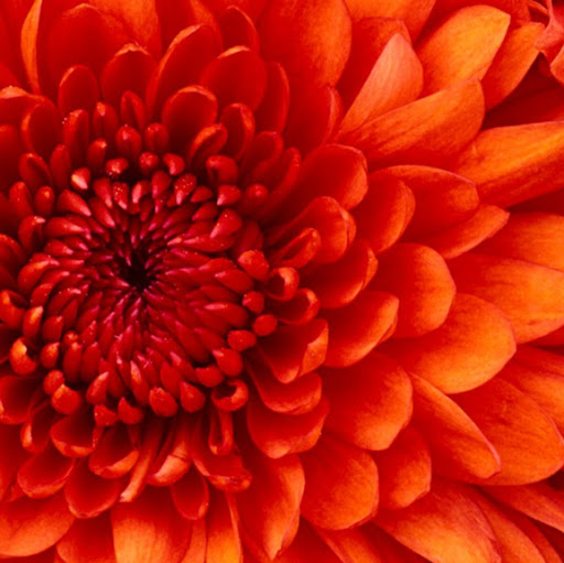 Bridget Williams Photo 25 Bridget Williams Photo 25