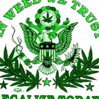 Harold Gray Photo 10