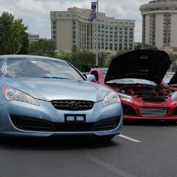 Dominic Pace Photo 3