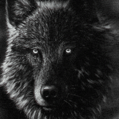 David Melendrez Photo 6