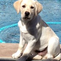 Michele Hull Photo 6