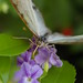 Kathy Key Photo 19