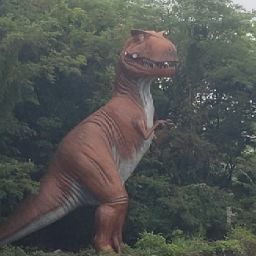 David Schaffer Photo 46 David Schaffer Photo 46