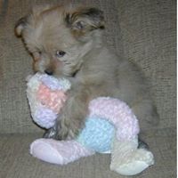 Gail Chapman Photo 11