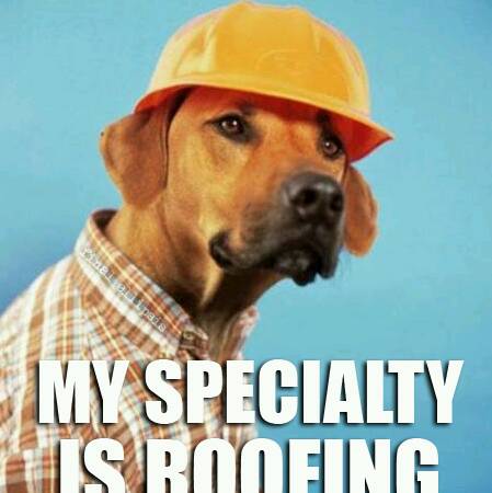 Heather Beaver Photo 19