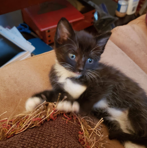 David Wilborn Photo 11