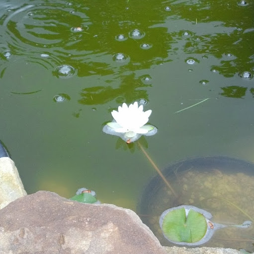 Theresa Palmer Photo 14