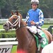 Scott Dominguez Photo 25