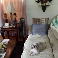 Steven Clemens Photo 5