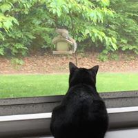 Timothy Mcgowan Photo 15