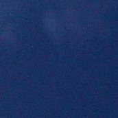 Concepcion Gomez Photo 17