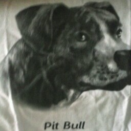 James Vanderpool Photo 28