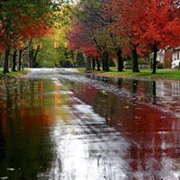Ramin Hashemi Photo 12