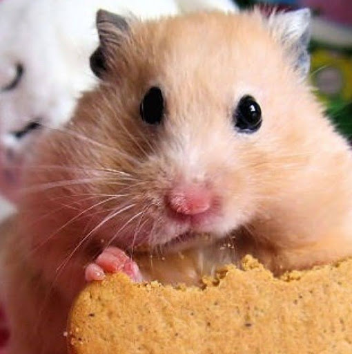 Carol Riddle Photo 19