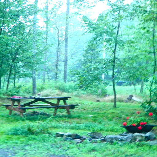 Susan Herrick Photo 11
