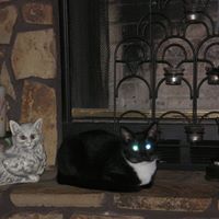 Connie Brand Photo 15