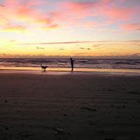 Suzanne Bloom Photo 10