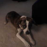 Annie Kerns Photo 22