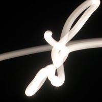 Scott Mccutchen Photo 7