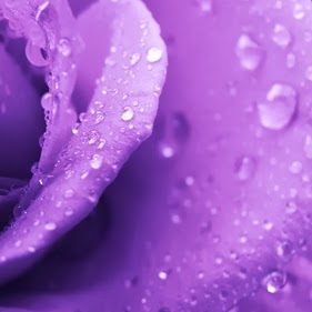 Mary Mckinzie Photo 14