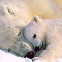 Dawn Lindner Photo 19