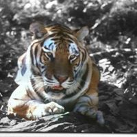 Cindy Grubbs Photo 15