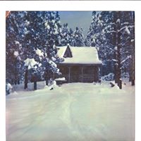 Patricia Merrifield Photo 5