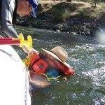 Laurie Newman Photo 26