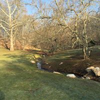 Elizabeth Langlois Photo 26