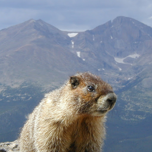 Kurt Herrmann Photo 7