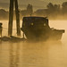 Dawn Parson Photo 9