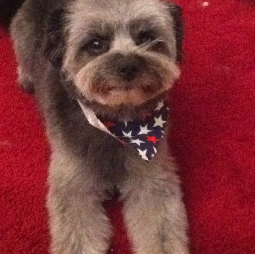 Barbara Parisi Photo 34