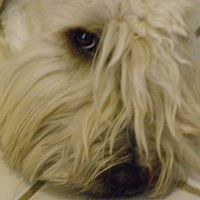 David Phipps Photo 26