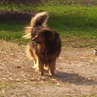 Kenneth Burroughs Photo 9